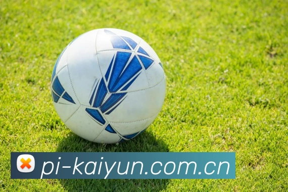 kaiyun 使命愿景
