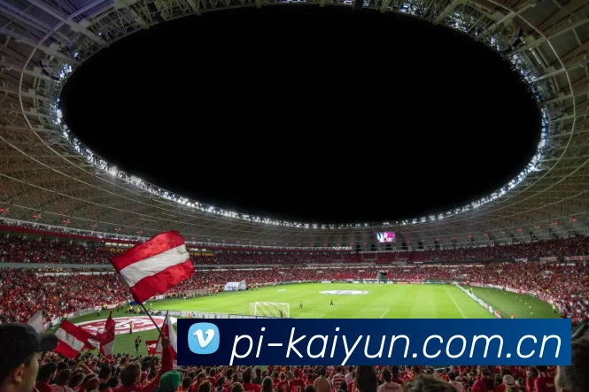 kaiyun法国